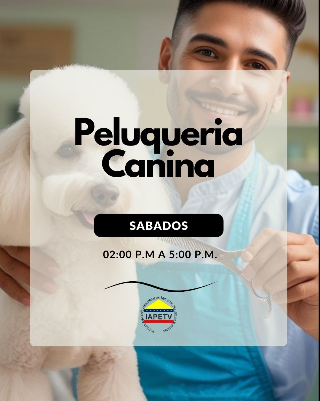 CURSO DE PELUQUERIA CANINA